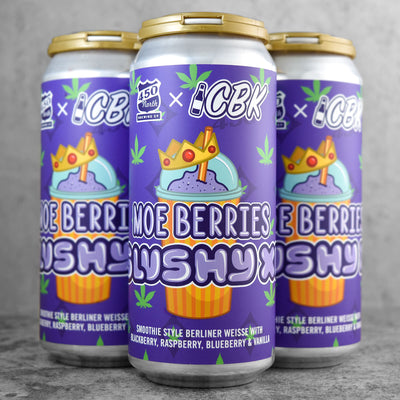 Starter Beer Box  Craft Beer Kings – CBK